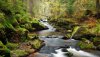 Ultra HD 4K Wallpapers-TheWindowsForum.com__109.jpg