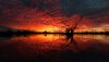 Ultra HD 4K Wallpapers-TheWindowsForum.com__114.jpg