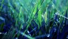 Ultra HD 4K Wallpapers-TheWindowsForum.com__019.jpg
