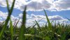 Ultra HD 4K Wallpapers-TheWindowsForum.com__032.jpg