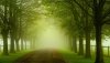 Ultra HD 4K Wallpapers-TheWindowsForum.com__044.jpg