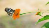 Ultra HD 4K Wallpapers-TheWindowsForum.com__072.jpg