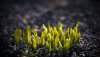 Ultra HD 4K Wallpapers-TheWindowsForum.com__074.jpg
