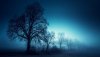 Ultra HD 4K Wallpapers-TheWindowsForum.com__086.jpg