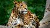Ultra HD 4K Wallpapers-TheWindowsForum.com__088.jpg