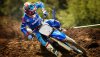 Ultra HD 4K Wallpapers-TheWindowsForum.com__095.jpg