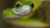 Ultra HD 4K Wallpapers-TheWindowsForum.com__003.jpg