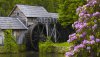 Ultra HD 4K Wallpapers-TheWindowsForum.com__023.jpg