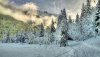 Ultra HD 4K Wallpapers-TheWindowsForum.com__038.jpg