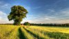 Ultra HD 4K Wallpapers-TheWindowsForum.com__057.jpg