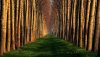 Ultra HD 4K Wallpapers-TheWindowsForum.com__058.jpg