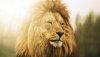 Ultra HD 4K Wallpapers-TheWindowsForum.com__072.jpg