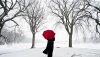 Ultra HD 4K Wallpapers-TheWindowsForum.com__077.jpg