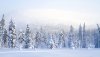 Ultra HD 4K Wallpapers-TheWindowsForum.com__012.jpg