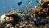 Ultra HD 4K Wallpapers-TheWindowsForum.com__025.jpg