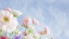Ultra HD 4K Wallpapers-TheWindowsForum.com__034.jpg