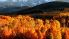 Ultra HD 4K Wallpapers-TheWindowsForum.com__035.jpg