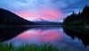 Nature HD Wallpapers-TheWindowsForum.com__2.jpg