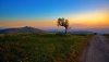 Nature HD Wallpapers-TheWindowsForum.com__7.jpg