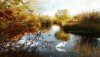 Nature HD Wallpapers-TheWindowsForum.com__14.jpg
