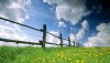 Nature HD Wallpapers-TheWindowsForum.com__15.jpg