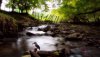Nature HD Wallpapers-TheWindowsForum.com__19.jpg