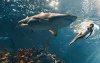 Ultra HD 4K Wallpapers-TheWindowsForum.com0__077.jpg