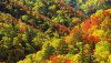 Nature HD Wallpapers-TheWindowsForum.com__8.jpg