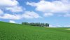 Nature HD Wallpapers-TheWindowsForum.com__10.jpg