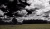 Nature HD Wallpapers-TheWindowsForum.com__18.jpg