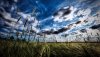 Nature HD Wallpapers-TheWindowsForum.com__19.jpg