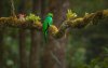 Ultra HD 4K Wallpapers-TheWindowsForum.com0__229.jpg