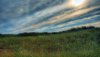 Nature HD Wallpapers-TheWindowsForum.com__1.jpg