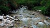 Nature HD Wallpapers-TheWindowsForum.com__5.jpg