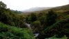 Nature HD Wallpapers-TheWindowsForum.com__6.jpg