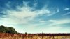 Nature HD Wallpapers-TheWindowsForum.com__11.jpg