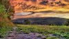 Nature HD Wallpapers-TheWindowsForum.com__14.jpg