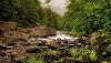 Nature HD Wallpapers-TheWindowsForum.com__19.jpg