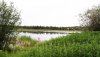 Nature HD Wallpapers-TheWindowsForum.com__20.jpg
