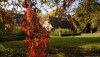Nature HD Wallpapers-TheWindowsForum.com__1.jpg