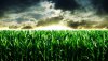 Nature HD Wallpapers-TheWindowsForum.com__6.jpg