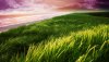 Nature HD Wallpapers-TheWindowsForum.com__8.jpg