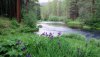 Nature HD Wallpapers-TheWindowsForum.com__10.jpg
