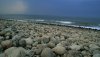 Nature HD Wallpapers-TheWindowsForum.com__13.jpg