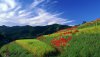 Nature HD Wallpapers-TheWindowsForum.com__17.jpg