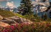 Ultra HD 4K Wallpapers-TheWindowsForum.com_170__024.jpg