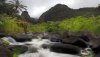 Nature HD Wallpapers-TheWindowsForum.com__11.jpg