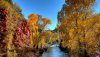 Nature HD Wallpapers-TheWindowsForum.com__15.jpg