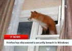 Browser Security Leak..jpg