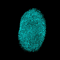 fingerprint312